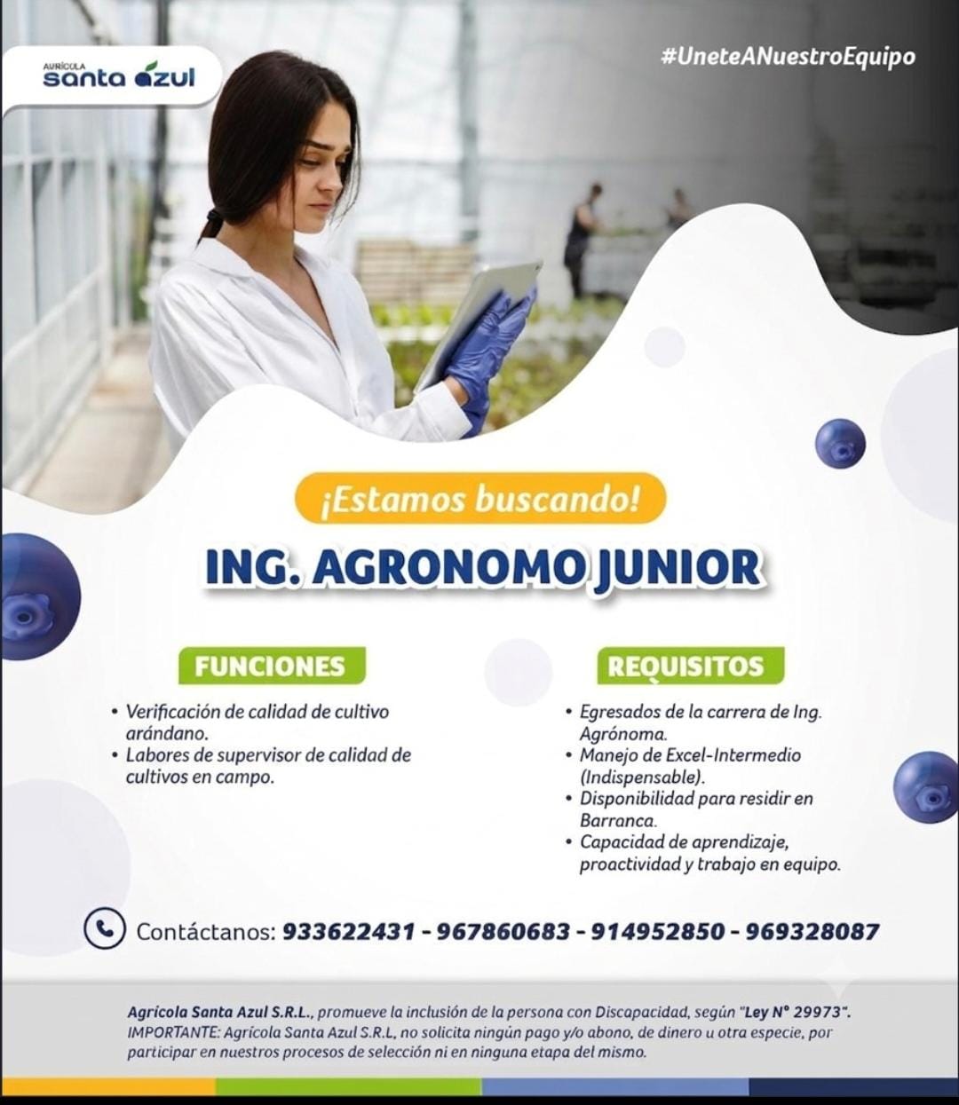Ingeniero Agrónomo Junior